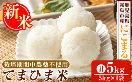 K-198-B ＜令和7年産新米 先行予約受付中！2025年12月以降順次発送予定＞てまひま米(品種:にこまる)(計5kg)【末蜜農園】霧島市 お米 精米 白米 米 こめ コメ ご飯 ごはん 栽培期間中農薬不使用