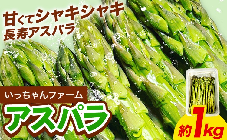 
                  アスパラガス 約1kg いっちゃんファーム《3月上旬-9月下旬頃出荷》熊本県 氷川町 氷川産 野菜 アスパラガス アスパラ 熊本県産 春野菜
                