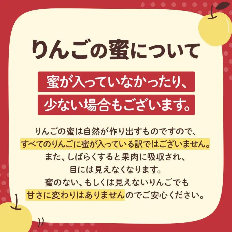 【先行受付】12月上旬より発送 【色ムラ・キズ等あり】樹上完熟サンフジ 約10kg（26～46玉前後）