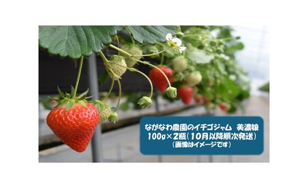 1107 ながなわ農園のいちごジャム　美濃娘　100ｇ×２瓶　数量限定