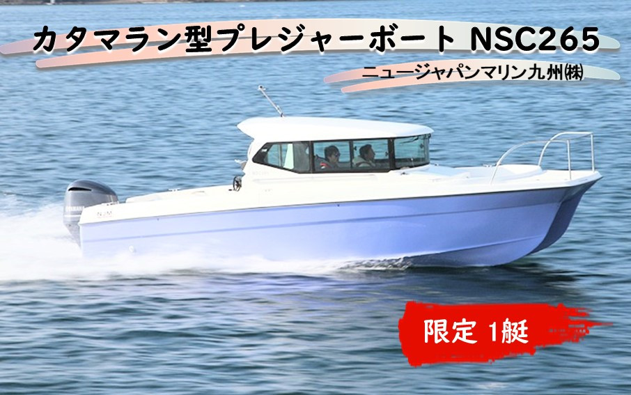 
カタマラン型プレジャーボート NSC265_2241R
