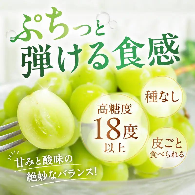 【 2026年先行予約 】【 桜島産 】シャインマスカット 3房 K261-001_03