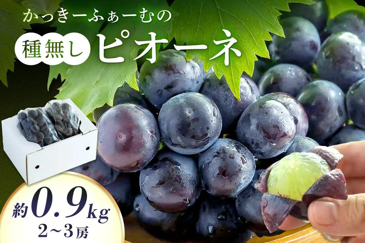 【先行予約】種無しピオーネ 約0.9kg 2～3房《8月下旬頃から発送》果物 ピオーネ ぶどう 先行予約 【183_1883】