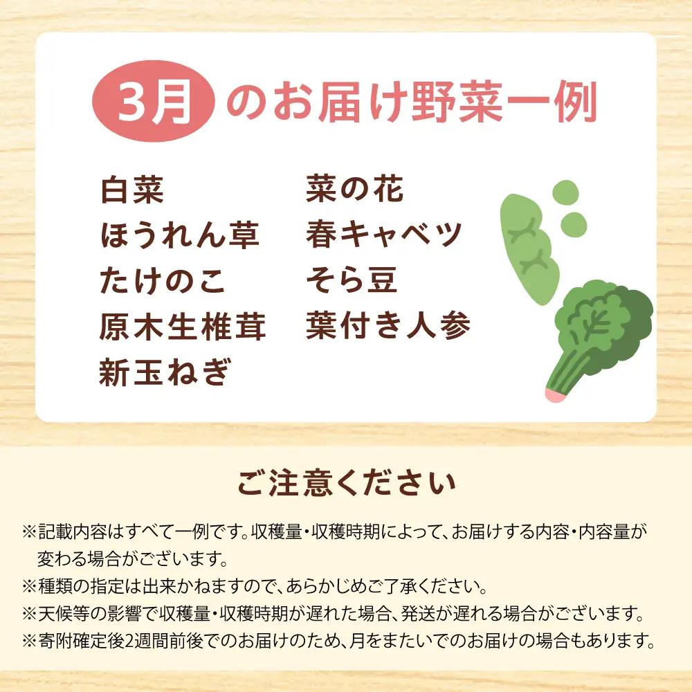 高槻野菜おまかせ詰め合わせセット 3月（10種〜15種）[AOCS009] 野菜セット