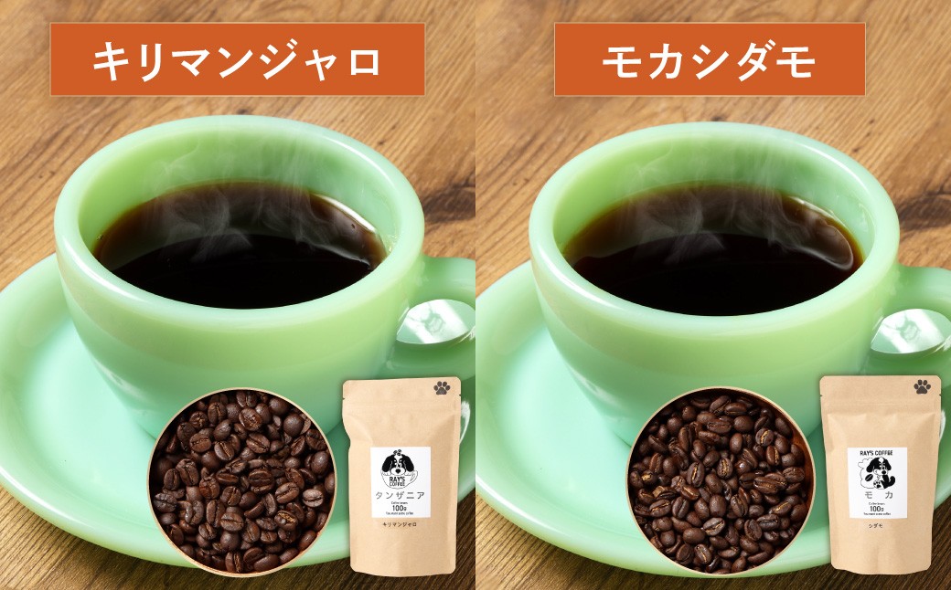 かみすブレンド・キリマンジャロ・モカシダモ アフリカ豆飲み比べセット