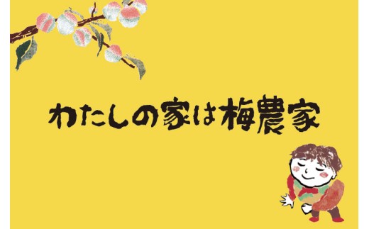 M023　ぷらむ工房あじわい梅干セット