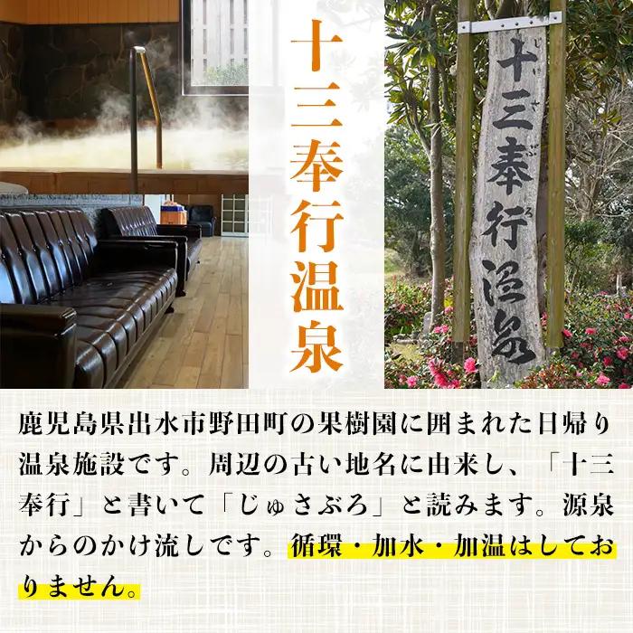 十三奉行(じゅさぶろ)温泉 入浴券 25回分 入浴チケット 【アーステクノ】 i1218-B