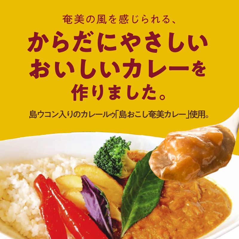 パパイヤ入り奄美カレー 180g 5個セット - 鹿児島県 奄美市 奄美大島 レトルトカレー チキンカレー 島ウコン 青パパイヤ入り 島料理 島じゅうりまごころ便パッケージ 湯銭 加熱