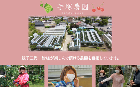 【先行予約2025年/令和7年発送分】貴陽 すもも 6～12個入り 山梨県産 スモモ もも モモ 高級 フルーツ くだもの 果物 おすすめ 人気 山梨県 甲斐市 AV-6