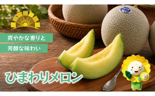 ひまわり メロン 青肉 4〜6玉 / 高級 北海道 高糖度 甘い  ※7月上旬～8月上旬に順次発送 【sun514-ao-46A】