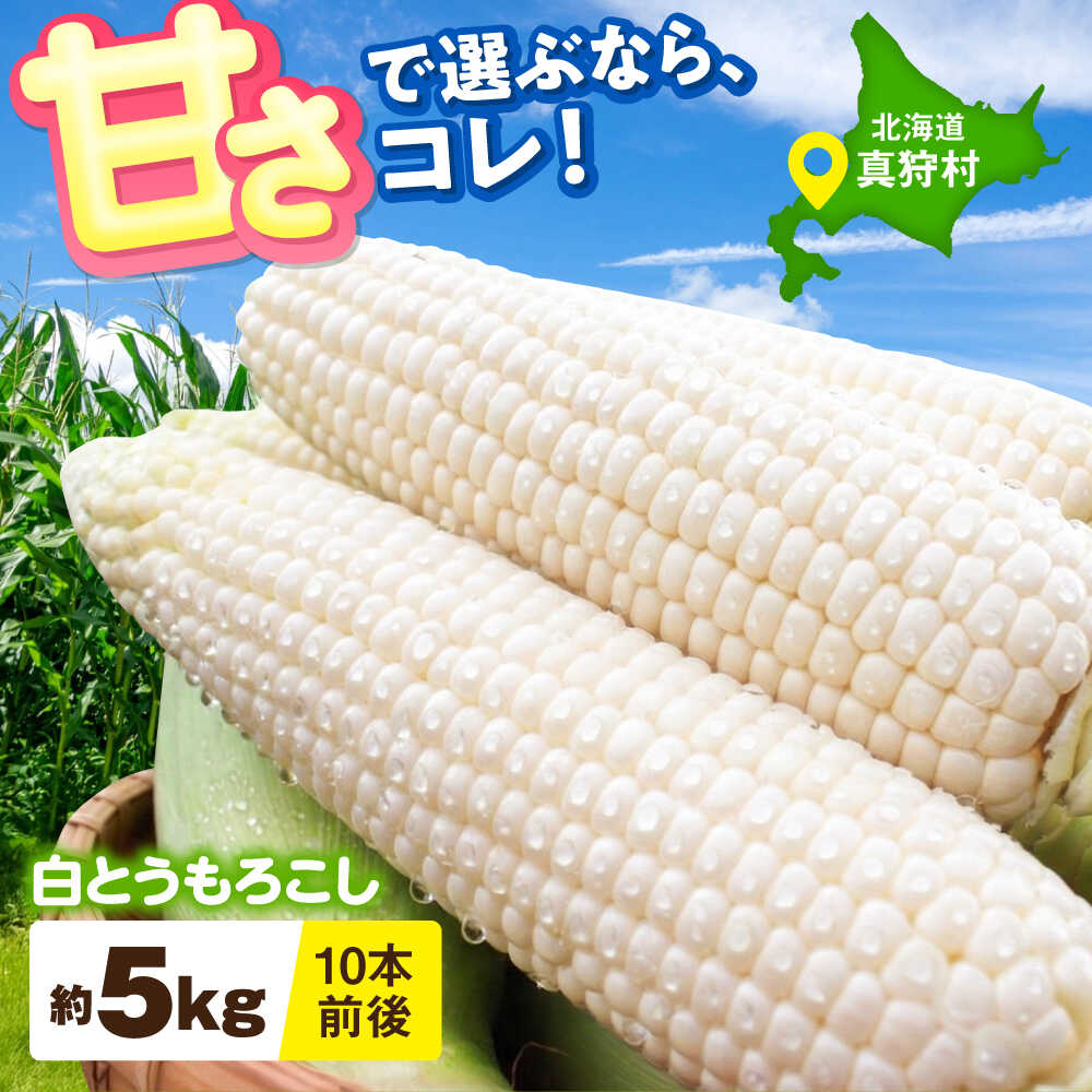 【ふるさと納税】とうもろこし 白（白）5kg | とうもろこし とうきび トウモロコシ コーン 野菜 やさい 北海道 産地直送 お取り寄せ ふるさと納税 とうきびおいしい | 道の駅 真狩フラワーセンター[BPAM021]