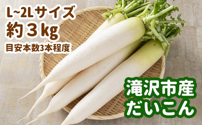 
            令和６年度産 滝沢市産だいこん L～２Lサイズ 約3kg 【滝沢産業開発】 / 大根 根菜 野菜 セット
          