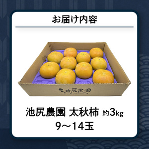 【10月発送】池尻農園　太秋柿　9玉～14玉　約3kg_柿 甘柿 太秋柿 9玉 ～ 14玉 約 3kg 種が少ない 池尻農園 シャキシャキとした食感 さっぱり 多汁 高い糖度 国産 フルーツ 果物 福
