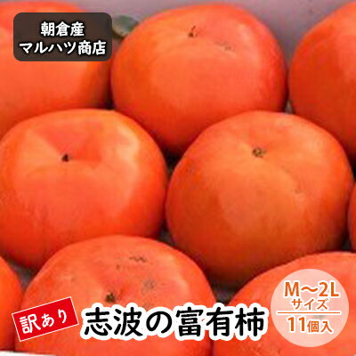 【ふるさと納税】訳あり 柿 志波の富有柿 M～2Lサイズ×11個入 マルハツ商店 果物類 かき 　お届け：2025年11月中旬～11月下旬