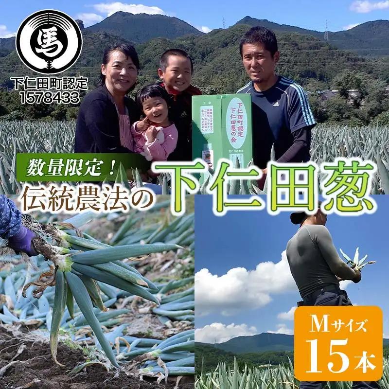 伝統農法の下仁田葱（Ｍ 15本） とろける 甘い ねぎ ネギ 王様ねぎ 特産 栄養たっぷり ブランド 上州ねぎ すきやき F21K-571