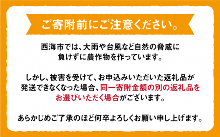【1月から毎月届く♪4回定期便】旬の みかん 定期便 西海市 みかん 蜜柑 柑橘 みかん  定期便 ＜中尾果樹園＞ [CEL008]