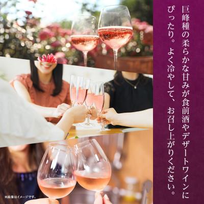ふるさと納税 笛吹市 【無地熨斗】 巨峰スパークリング 720ml 1本 スパークリングワイン モンデ酒造 山梨県 笛吹市 |  | 02