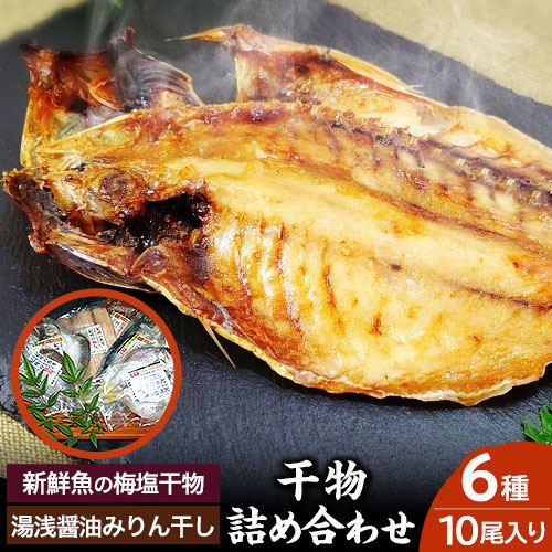 新鮮魚の梅塩干物と湯浅醤油みりん干し6品種10尾入りの詰め合わせ(和歌山近海産の新鮮魚使用)《90日以内に出荷予定(土日祝除く)》和歌山県 日高町 送料無料