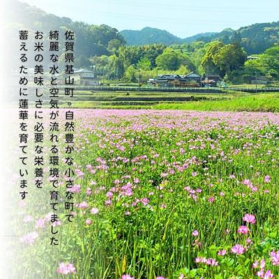 ふるさと納税 基山町 【令和7年新米】ちぎり米 5kg(「さがびより」、「ヒノヒカリ」、「夢しずく」から1種類 選択不可) |  | 02