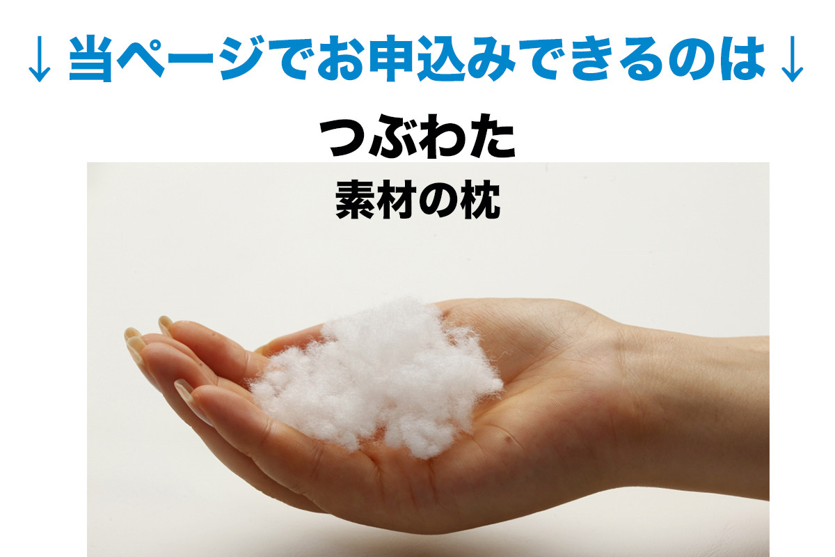 
            セレクト枕 つぶわた 標準タイプ 中央くぼみタイプ 低め（43×63cm）
          