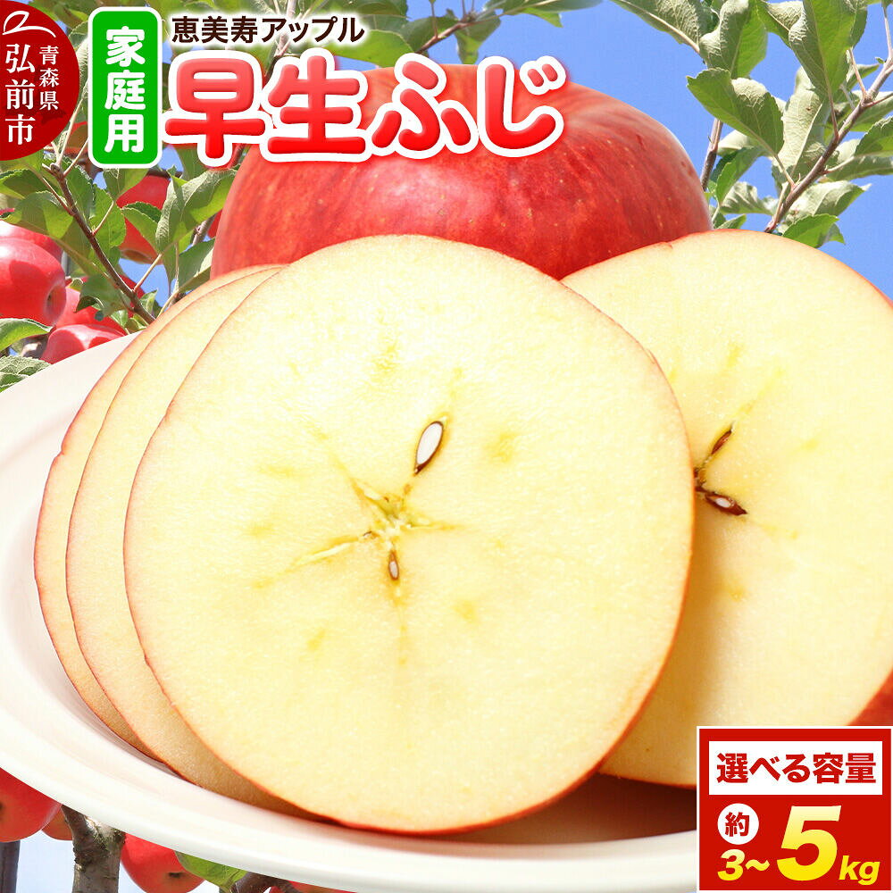 【ふるさと納税】りんご【26年10月発送】一足早くふじの味 早生ふじ【家庭用】【選べる約 3kg／5kg】先行予約 先行受付 青森県 弘前市 果物 フルーツ 林檎 リンゴ くだもの ギフト 贈り物 [先行予約 産地直送 アップル おいしい 果実 美味]
