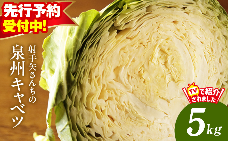 【先行予約】射手矢さんちの泉州キャベツ 5kg【家計応援 2～5玉 新鮮 野菜 やさい 射手矢農園 高評価 訳あり サイズ不揃い 数量限定 TVで紹介！】 G1624