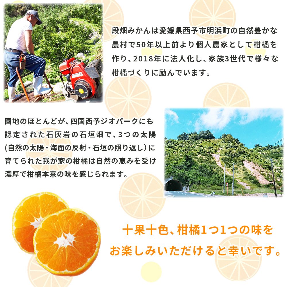 ＜愛媛県西予市産 温州みかん 家庭用 約3kg＞ 果物 くだもの うんしゅうみかん ウンシュウミカン ミカン 蜜柑 柑橘 フルーツ 自宅用 訳あり 旬 特産品 産地直送 段畑みかん株式会社 愛媛県 西
