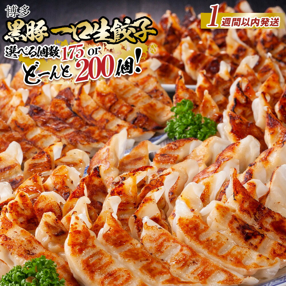 博多黒豚一口生餃子 200個入 (8パック) 冷凍便