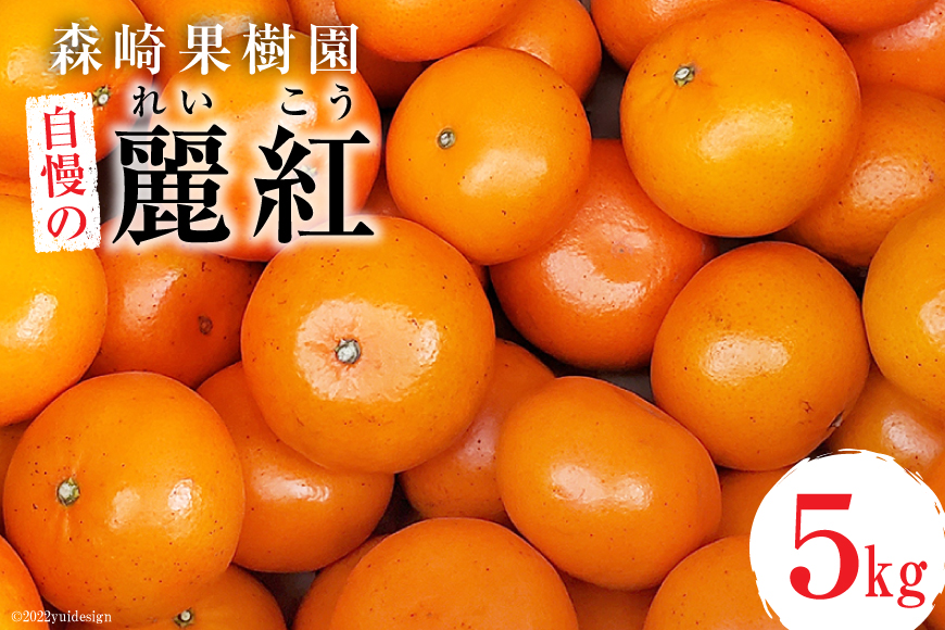 CD021 【令和9年1月中旬から順次発送】森崎果樹園 自慢の 麗紅（れいこう）5kg [みかん ミカン れいこう 麗紅 5キロ 果物 森崎果樹園 長崎県 島原市]