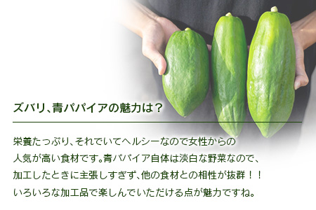 青パパイヤ 5kgセット 酵素の王様・健康万能野菜 パパイア王子厳選 宮崎県産【B686】