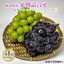 【ふるさと納税】ぶどう 2025年 先行予約 果物 詰合せ ニュー ピオーネ 1房（1房470g以上）シャイン マスカット 晴王 1房（1房470g以上） 化粧箱入り 岡山県産 国産 フルーツ ギフト 　贈り物 甘い上品 高級ぶどう　お届け：2025年8月下旬～2025年10月上旬