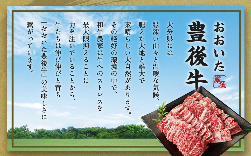 【大分県産】 豊後牛 焼肉用 カルビ 切り落とし 約2kg (約500g×4パック)