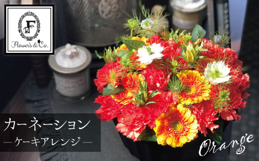【花瓶いらず！】オレンジカーネーションでふわもこケーキのようなフラワーアレンジ！ そのまま飾れる プレゼント 贈り物 還暦 記念日 お誕生日 お祝い 母の日 H174-006