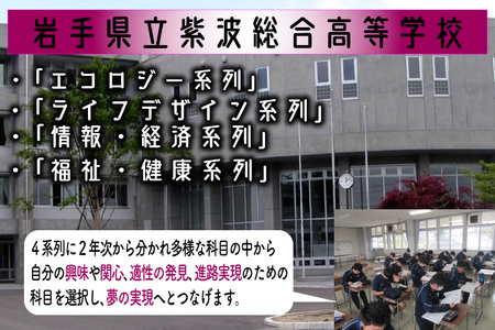 ＼紫波の高校生が作りました！／紫波町産 ぶどうジュース 300ml 2本入り (EC001) 紫波総合高校の生徒たちが育てたぶどうを使ったフレッシュな味わいのぶどうジュース♪