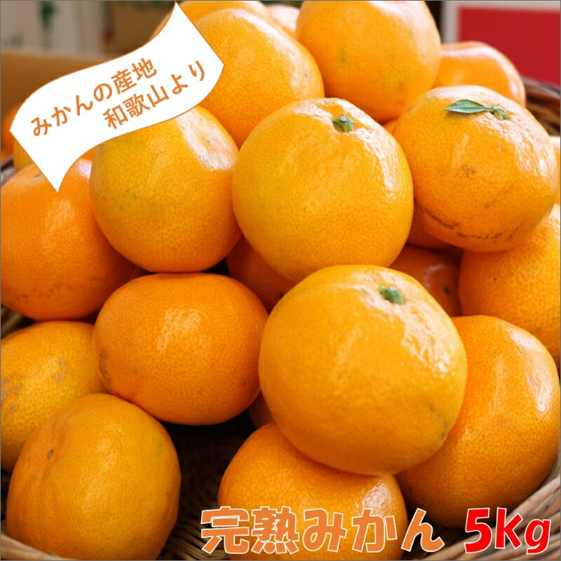 【ふるさと納税】和歌山の完熟みかん5kg 紀州日高地方からお届けします!《先行予約》みかん ミカン 温州みかん 和歌山 人気 ダントツ 甘い 果物 フルーツ 送料無料