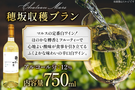 ワイン 白 飲み比べ 4本 セット ソムリエセレクト詰め合わせ