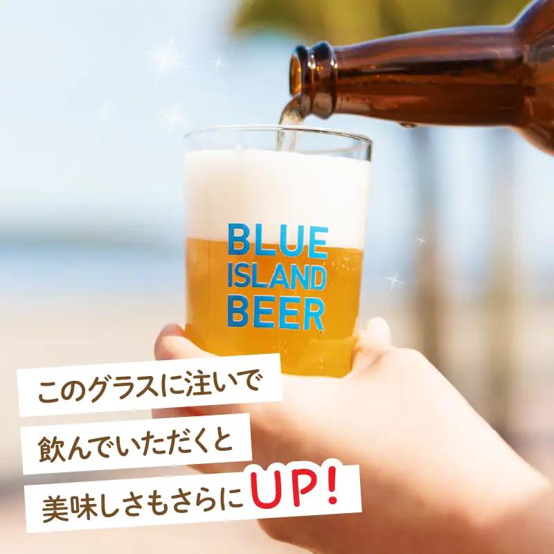 クラフトビール ビール 青島 サーフエール 6本・ビアグラス 1個 セット