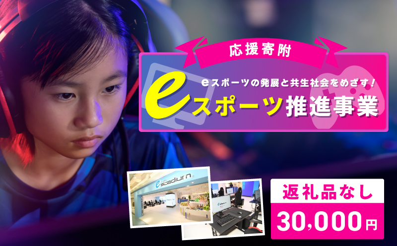 【返礼品なし】eスポーツの発展と共生社会の実現をめざす！eスポーツ推進応援寄附（大阪府泉佐野市）　【大阪 泉佐野 大阪府 泉佐野市】