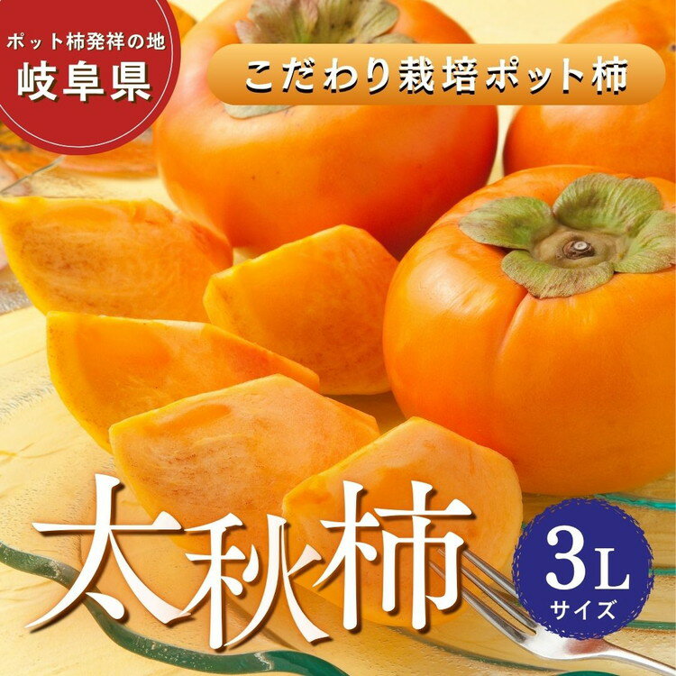 【ふるさと納税】【先行予約】こだわり栽培ポット柿（太秋柿） 3Lサイズ9個入り | 柿 かき カキ 太秋柿 甘い シャキシャキ 大玉 フルーツ くだもの 果物 秋の味覚 おやつ スイーツ 産地直送 先行 予約 ※離島への配送不可 ※2026年10月中旬～11月上旬頃に順次発送予定