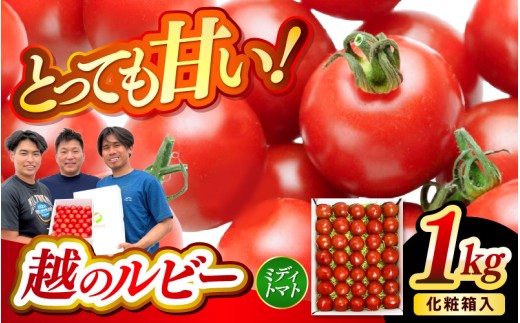 【先行予約】坂井市砂丘地のとっても甘い フルーツトマト 越のルビー 1kg 化粧箱入り 【2026年10月上旬以降順次発送】【とまと トマト フルーツトマト ミディトマト ミニトマト トマトジュース 野菜 やさい 人気 新鮮 産地直送 甘い 高糖度 食べやすい リコピン ビタミン ダイエット 美容 美肌 ギフト 贈り物 贈答】 [A-19109]