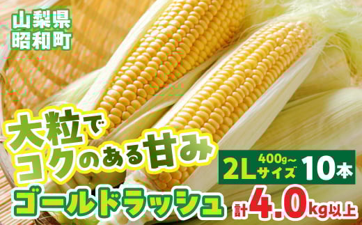 【2025年発送先行予約】山梨県産ゴールドラッシュ2Lサイズ×10本セット SWBS002