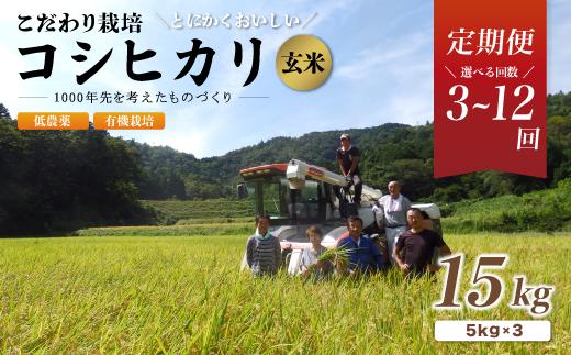 
【定期便3～12回】新米 有機栽培コシヒカリ玄米 15kg 京都府産 低農薬 毎月お届け 3ヶ月 6ヶ月 12ヶ月【 米 15キロ 玄米 こめ コメ お米 おこめ こしひかり 食物繊維 栄養 真空パック 井上吉夫 米農家 有機栽培米 有機栽培 農家直送 減農薬 綾部市 京都府 】
