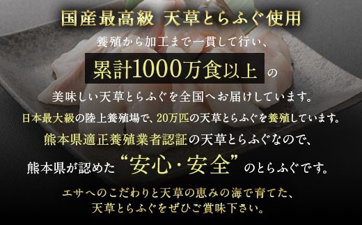 【白子付】大皿使用 国産最高級!天草とらふぐフルコース　(7～8人前) ふぐ刺し ふぐ鍋 フグ ふぐ刺身セット 河豚