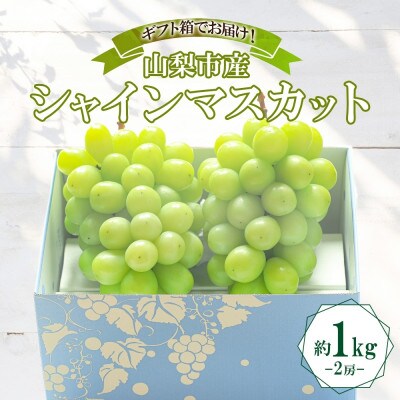 大房で食べ応え満点!「山梨県山梨市産 シャインマスカット 2房 約1kg」【配送不可地域：離島】