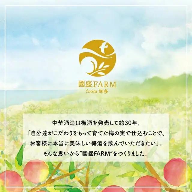 【定期便6回】梅シロップ420g×3本