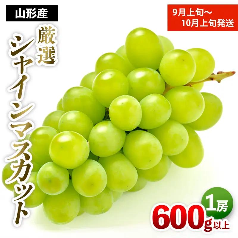 厳選シャインマスカット 秀品 600g以上 1房入 1箱 [前半] 【令和8年産先行予約】FS25-678 くだもの 果物 フルーツ 山形 山形県 山形市 2026年産