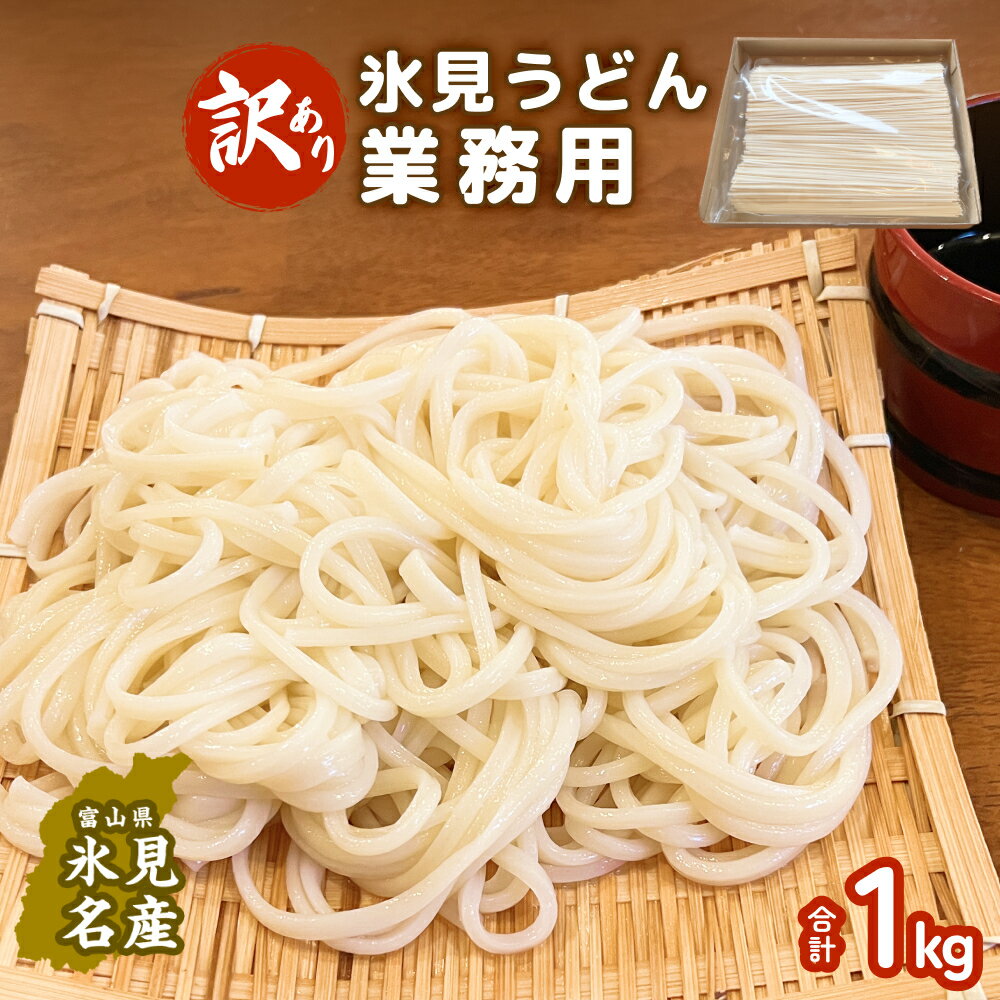 【ふるさと納税】〈訳あり〉 業務用 氷見のうどん 1kg | 業務用 簡易包装