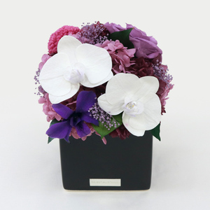 胡蝶蘭キューブM 花 お花 プリザーブドフラワー ギフト プレゼント お祝い 誕生日 お供え アレンジ インテリア 東京都 墨田区 パープル