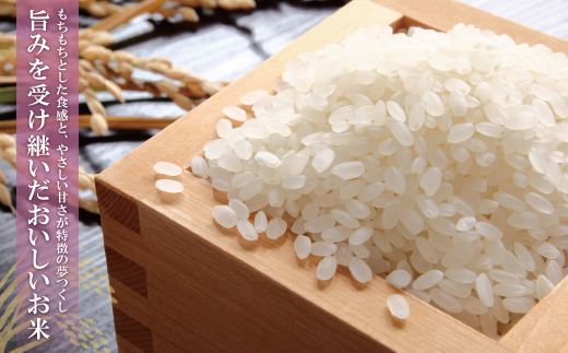 福岡の人気銘柄!!無洗米 福岡県産・夢つくし20kg 無洗米 むせんまい 米 コメ 20kg キャンプ 研がなくていい 5kg×4 TWR 20キロ 箱入り 手間なし カンタン 簡単 福岡 夢つくし 