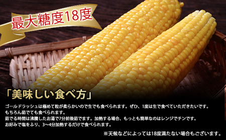 【2024年8月～発送】とうもろこし ゴールドラッシュ 10本 北海道 富良野産 (スイートベジタブルファクトリー) とうもろこし とうきび コーン 野菜 新鮮 甘い ジューシー 贈り物 ギフト 道産